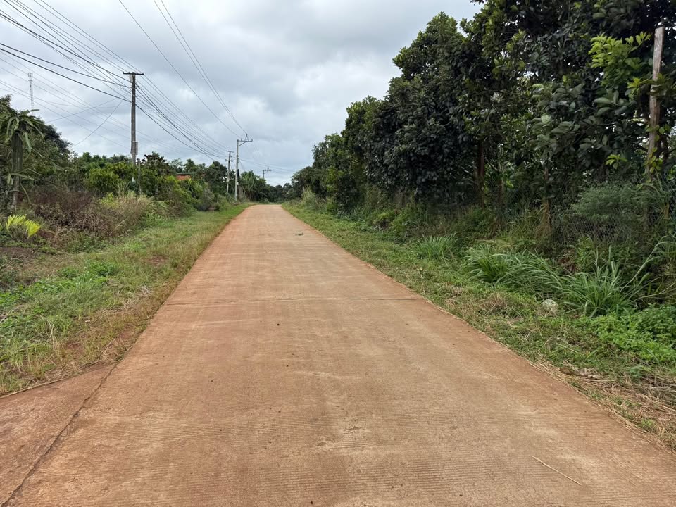 Farm 14600m² tại thôn 5 Ea Khăl, Đắk Lắk - Kinh doanh Cà phê và Mắc ca