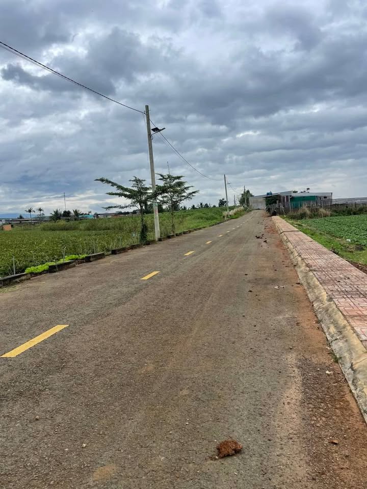 Đất N'Thol Hạ 1440m² giá 900 triệu - Sổ đỏ chính chủ, vị trí đẹp gần hồ Ông Kén!