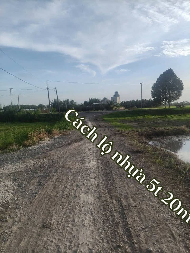 Đất thổ cư 1.037m² Phú Đức, Long Hồ, Vĩnh Long giá 650 triệu - Tiềm năng đầu tư lớn!