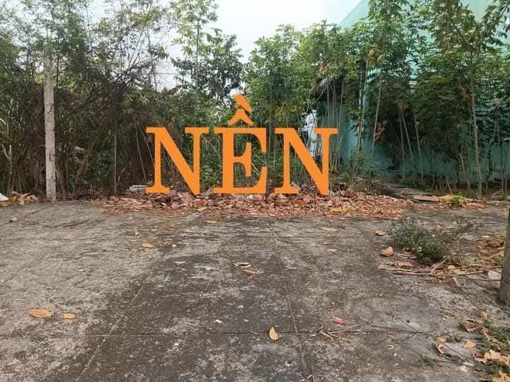 Đất nền Phường Đông Thành, Bình Minh, 117m² - Sổ hồng chính chủ, giá tốt!