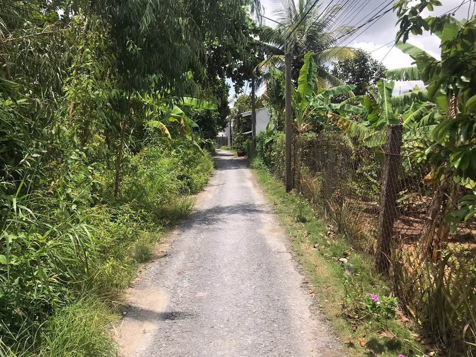 Đất thổ cư Tân Hạnh 678m² giá 2.3 tỷ - Mặt tiền 30m, sang tên ngay!