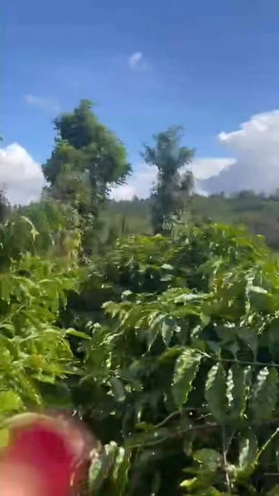 Đất nền Phú Lộc Krông Năng 3600m² giá 2.5 tỷ - Cơ hội đầu tư hấp dẫn!