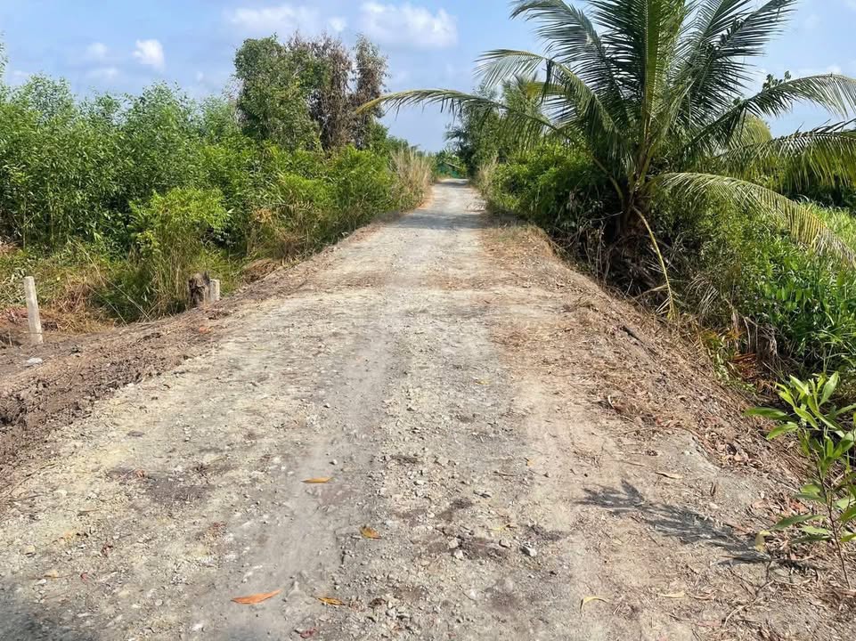 Đất vườn 1000m² tại Đức Hòa chỉ 949 triệu - Cơ hội vàng cho nhà vườn lý tưởng!