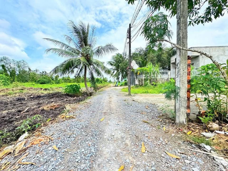 Đất thổ cư ấp 2, xã Hựu Thạnh, Đức Hòa 190m² giá 880 triệu - Pháp lý sổ hồng riêng