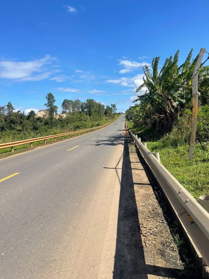 Farm 2ha3 mặt đường tránh Ea Ral giá 5.2 tỷ - Đầu tư sinh lời ngay!