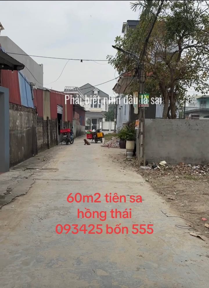 Đất nền Hồng Thái, Kiến An 60m² giá 1 tỷ - Cần bán gấp!