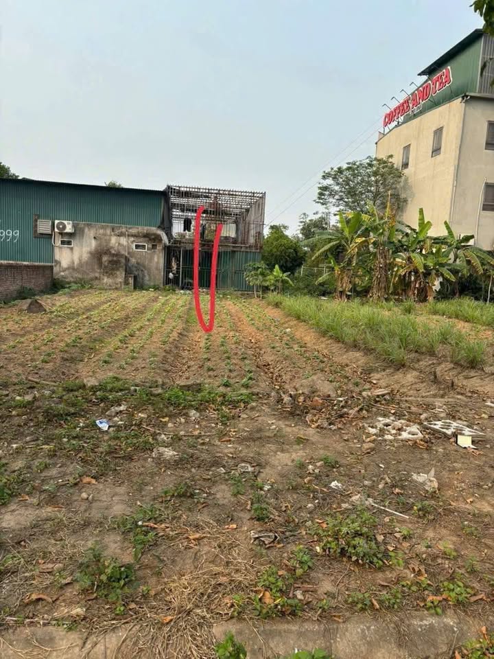 Đất mặt tiền view Hồ phố Phan, Đại Đồng 95m² giá 5 tỷ - Đầu tư sinh lời nhanh!