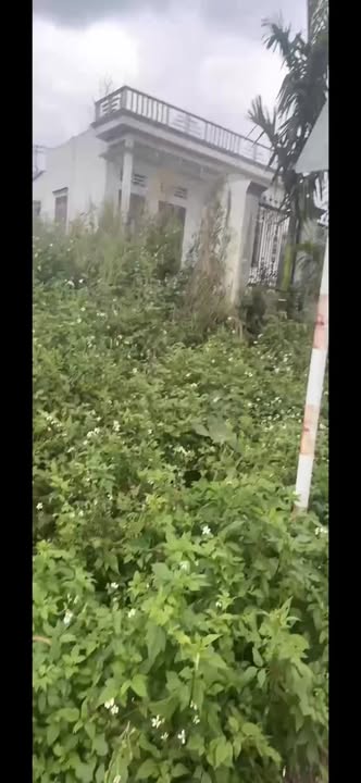 Đất thổ cư 450m² Pơng Drang, Krông Búk giá 1.95 tỷ - Cơ hội đầu tư tuyệt vời!