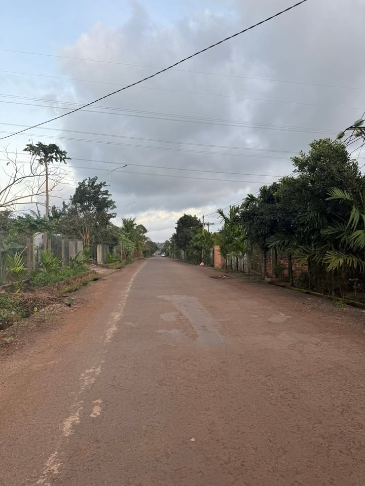 Đất thổ cư 767.6m² đường Hoàng Quốc Việt - Giá 235 triệu, đầu tư sinh lời tốt!