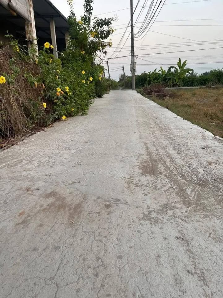 Đất thổ cư Thanh Phú Long, Châu Thành 250m² giá 719 triệu - Cần bán gấp!