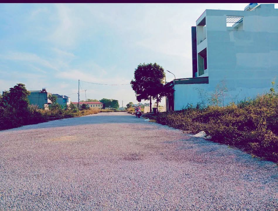 Đất nền 100m² Tân Phong - Gần dự án Ecopark chỉ 1.2 tỷ - Cơ hội đầu tư hấp dẫn!