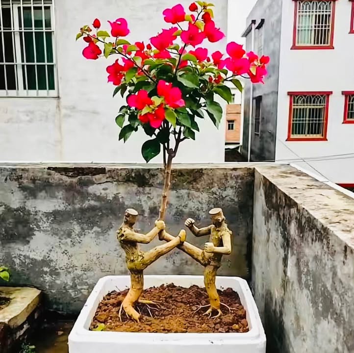 Lô đất 131m² ngõ 213 Đông Khê, Hải Phòng - Phù hợp xây biệt thự sân vườn!