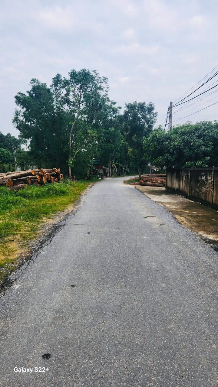 Đất nền Nghi Thạch 127m² giá chỉ 1 tỷ - Vị trí đẹp, đầu tư sinh lời!