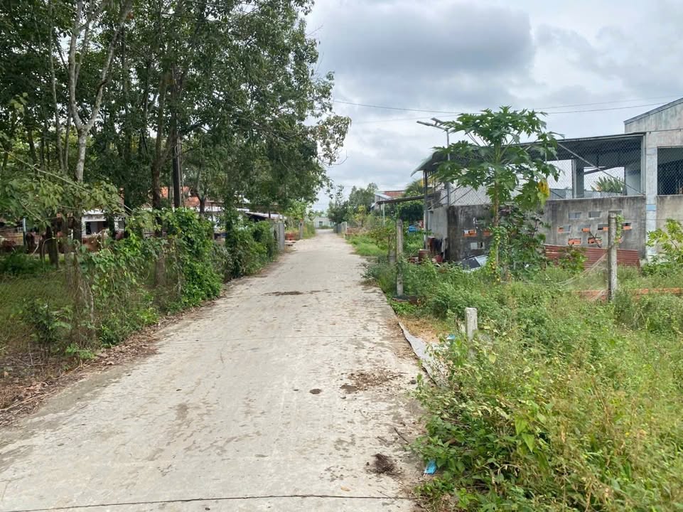 Đất thổ cư Phước Thạnh, Gò Dầu 250m² giá 590 triệu - Nhanh tay sở hữu!