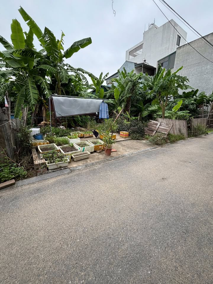 Đất nền Uy Nỗ Đông Anh 56.5m² giá thỏa thuận - Vỉa hè ô tô tránh