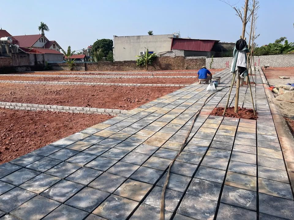 Đất nền Tiên Nha Lục Nam 200m² chỉ từ 100 triệu - Cơ hội đầu tư hấp dẫn!