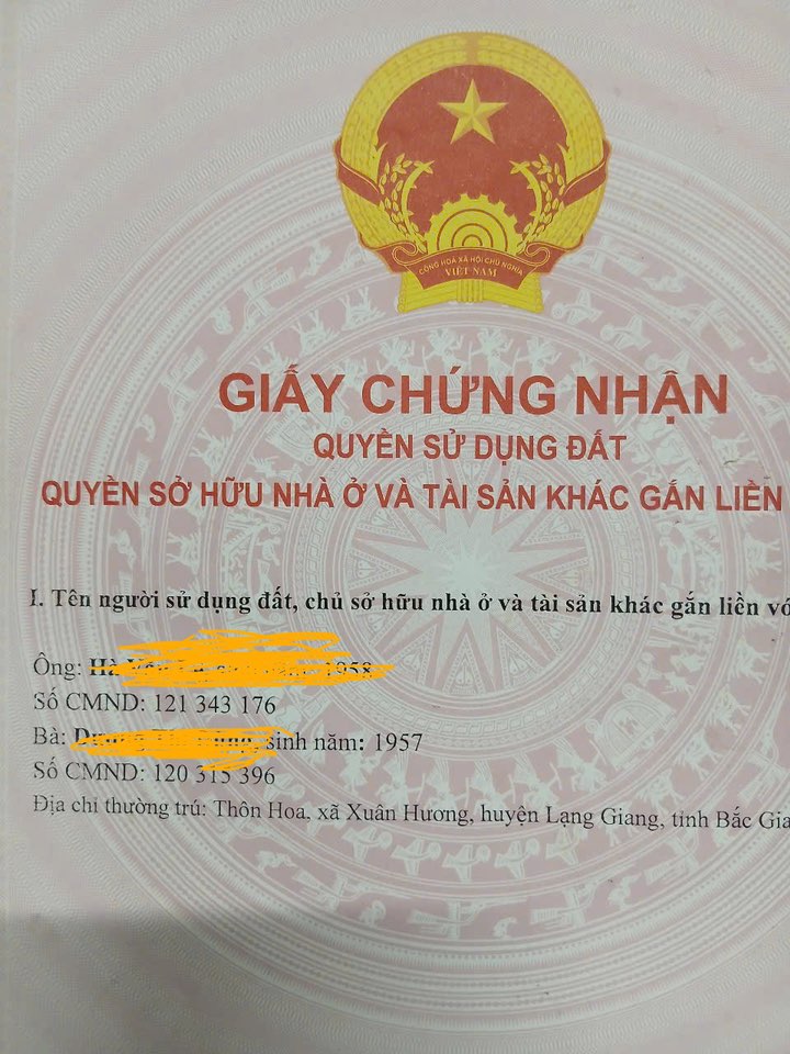 Đất nền Lạng Giang 247.5m² - Gần KCN Mỹ Thái, cơ hội đầu tư sinh lời!