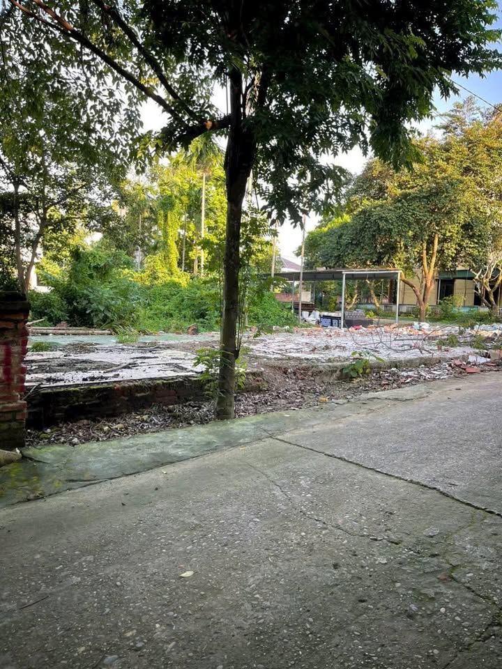 Đất nền Vân Phú, Việt Trì 96m² giá 2.15 tỷ - Tiềm năng tăng giá mạnh!