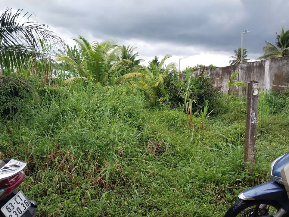 Đất thổ cư tại phường Trung An, Tiền Giang 190m² giá 820 triệu - Cơ hội đầu tư tốt!