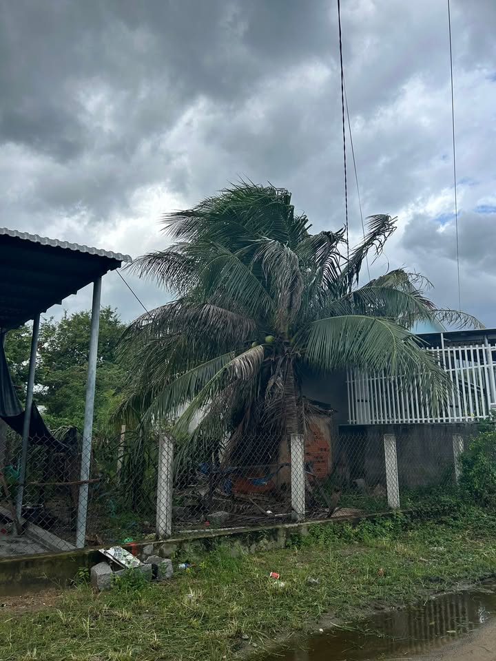 Đất thổ cư Tân Phú, Vạn Ninh 159m² giá 1.071 tỷ - Tiện ích đầy đủ, thương lượng!