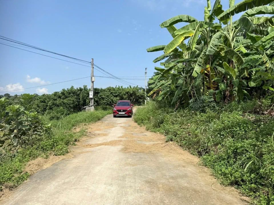 Đất nền Hồng Kỳ, Yên Thế 379m² giá 360 triệu - Cơ hội đầu tư tuyệt vời!