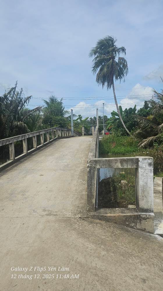 Đất mặt tiền Quốc lộ 60, xã Đại Ngãi, 963m² giá chỉ 2 tỷ - Cơ hội đầu tư hấp dẫn!