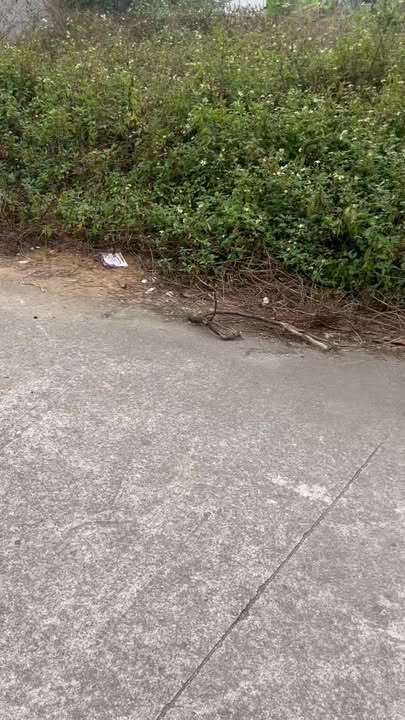 Đất nền Tam Hưng, Thanh Oai 77m² giá chỉ 5.43 tỷ - Cơ hội đầu tư tuyệt vời!