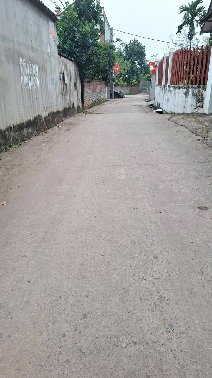 Đất thổ cư tại thôn Rừng Trong, Dĩnh Trì 191m² - Tiềm năng đầu tư tuyệt vời!