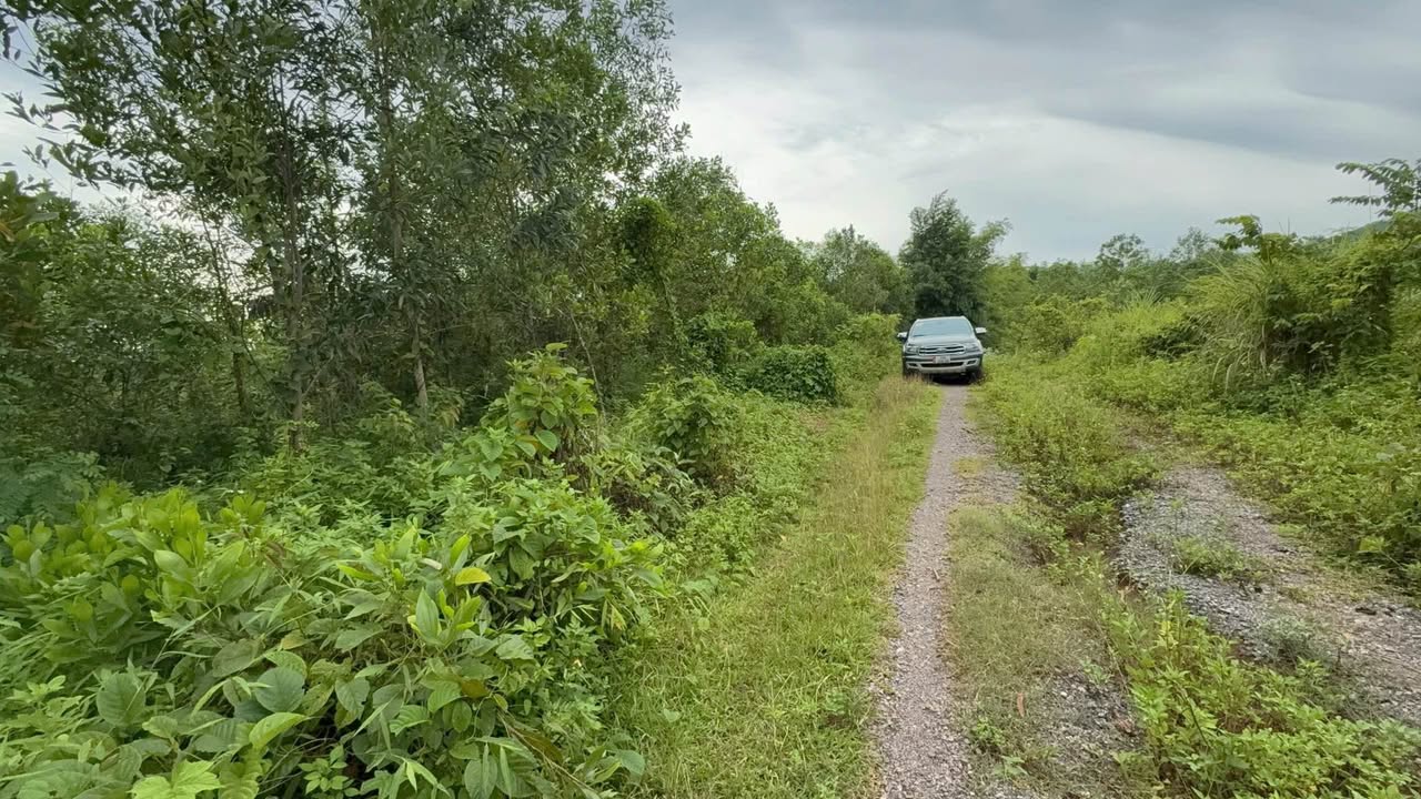 Đất đẹp xóm Tam, Tân Lạc, Phú Thọ 1.362,7m² - Sổ hồng mới, pháp lý chuẩn!