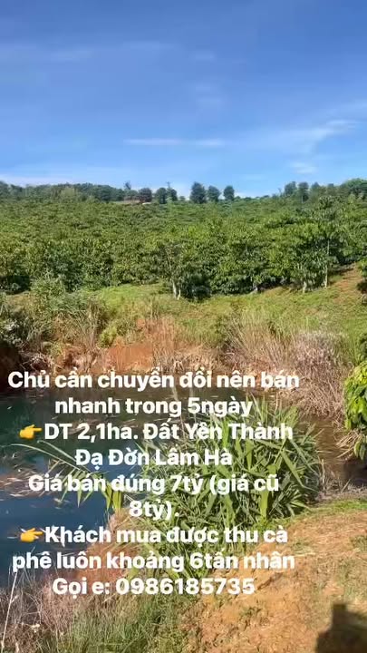 Farm 2,1ha tại Yên Thành, Lâm Hà giá 7 tỷ - Chuyển nhượng nhanh chóng!