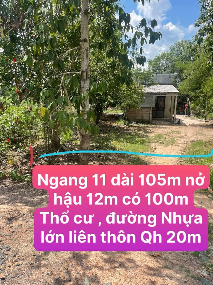 Đất nền Hòa Hiệp Tân Biên 1330m² giá chỉ 650 triệu - Cơ hội đầu tư tuyệt vời!