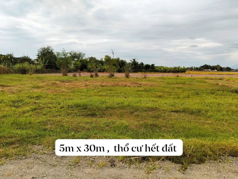 Đất 150m² Ấp A Tiên Thuận Bến Cầu chỉ 310 triệu - Sổ hồng chính chủ!