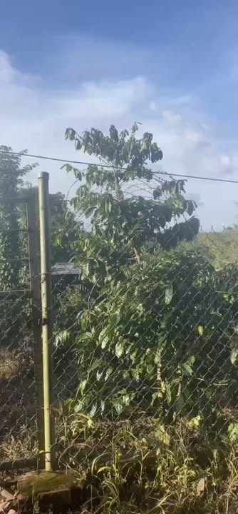 Đất nền Xuân Mỹ Cẩm Mỹ 2000m² giá 1.35 tỷ - Đầu tư lý tưởng cho tương lai!