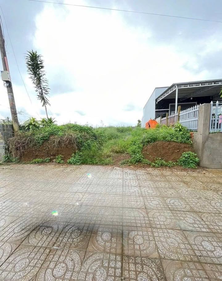 Đất nền Lê Lai, Phường Lộc Tiến, TP. Bảo Lộc 667m² giá 3.8 tỷ - Đầu tư sinh lời ngay!