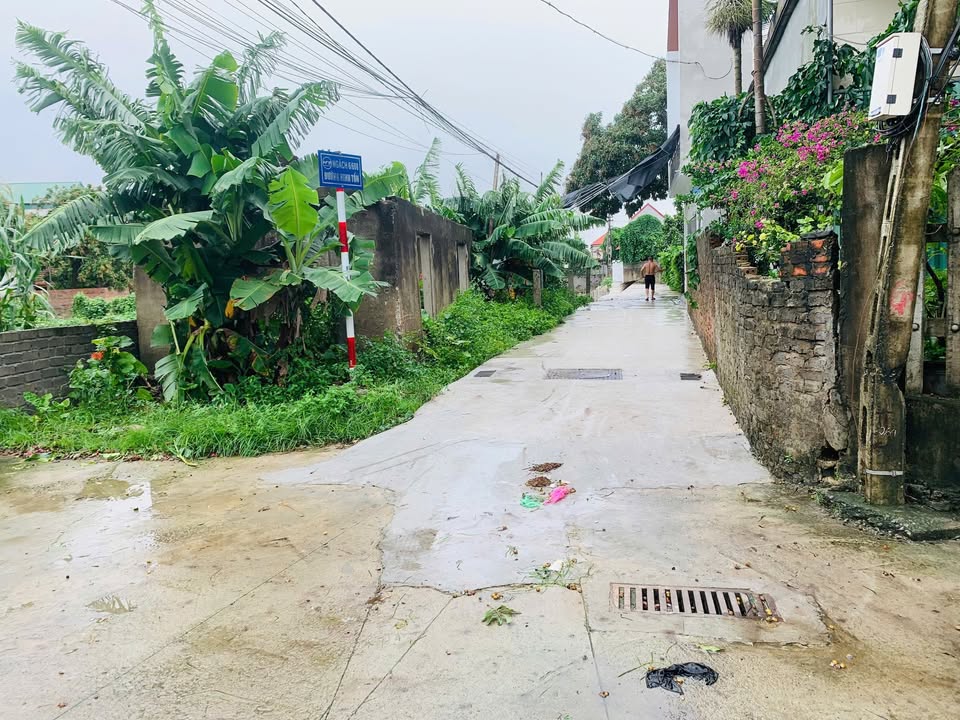 Đất nền phường Ninh Phúc 92m² giá 2 tỷ - Tiềm năng đầu tư lớn!