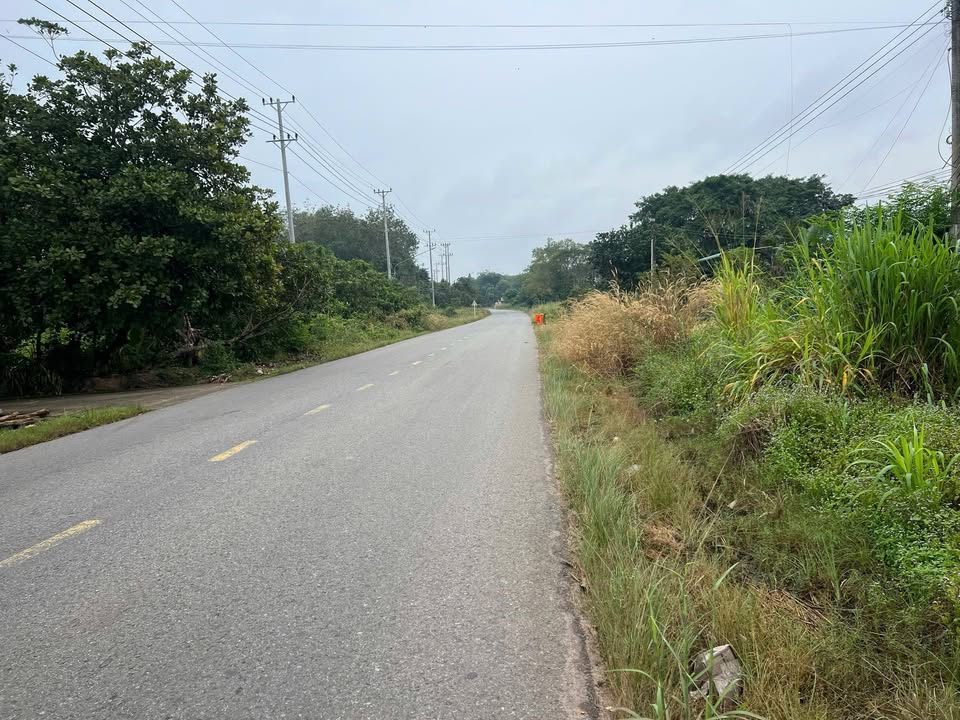 Đất nền 1190m² đường DH615 Long Nguyên Bàu Bàng giá 2.9 tỷ - Cơ hội đầu tư tuyệt vời!