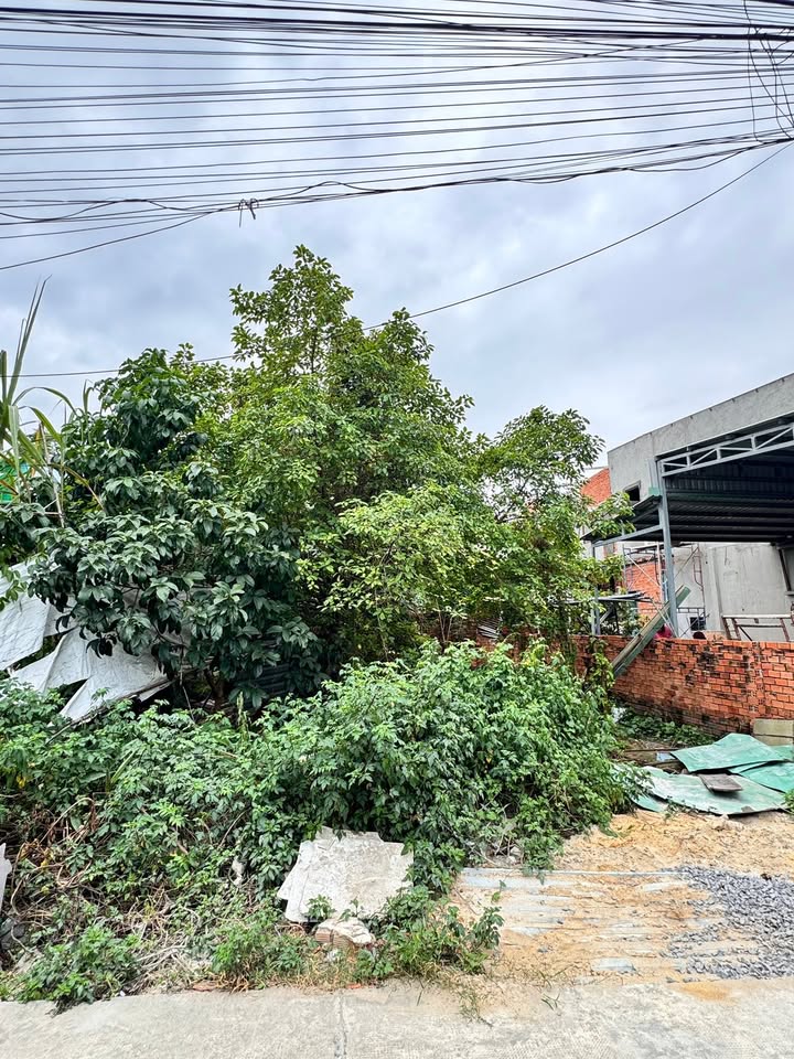 Đất nền Hóc Môn 176m² giá 6 tỷ - Sổ hồng riêng, đường xe tải