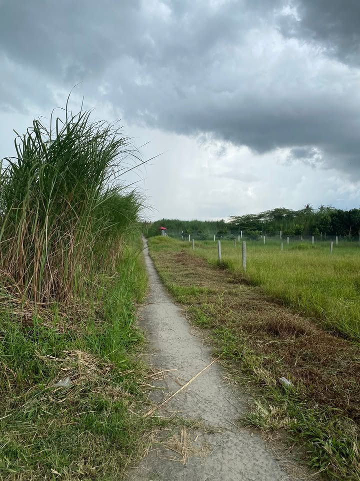 Đất nền Tân Hạnh, Vĩnh Long 624m² - Cơ hội vàng đầu tư!