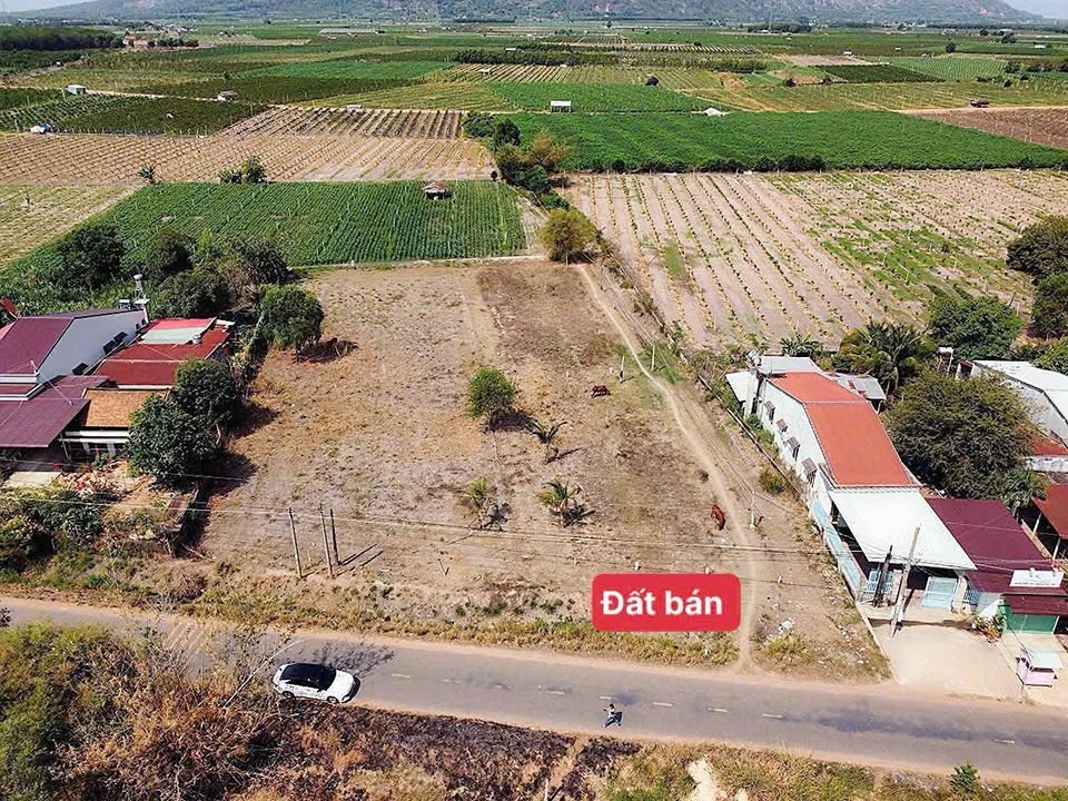 Đất thổ cư Suối Đá, Tây Ninh 154m² giá 590 triệu - Sổ đỏ chính chủ, mặt tiền nhựa