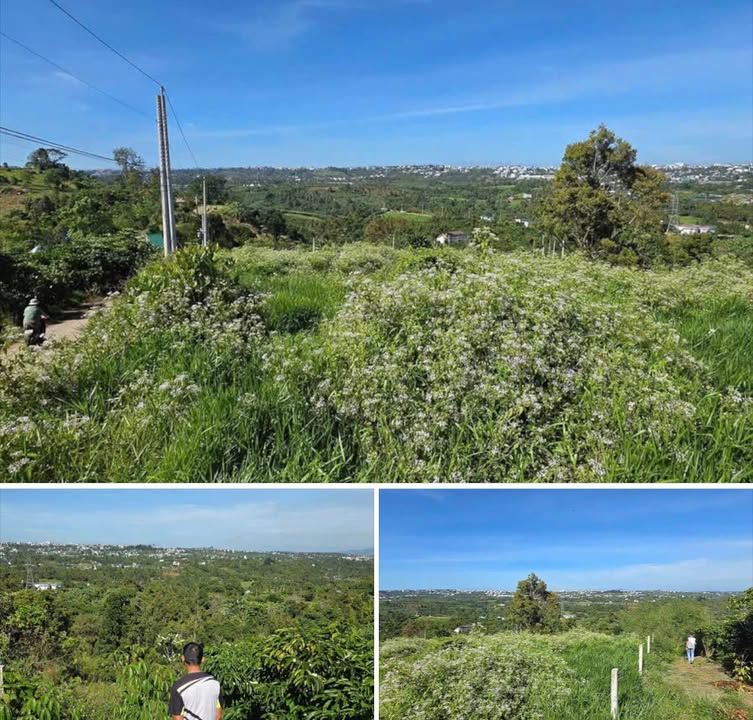 Đất mặt tiền Hoài Thanh Bảo Lộc 2700m² giá 3.9 tỷ - Tiềm năng nghỉ dưỡng tuyệt vời!