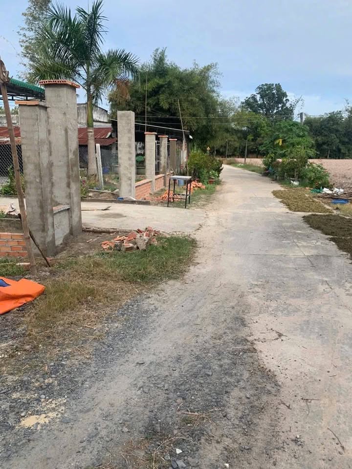 Đất nền Long Thuận, Bến Cầu, Tây Ninh 250m² giá 290 triệu - Cơ hội đầu tư hấp dẫn!