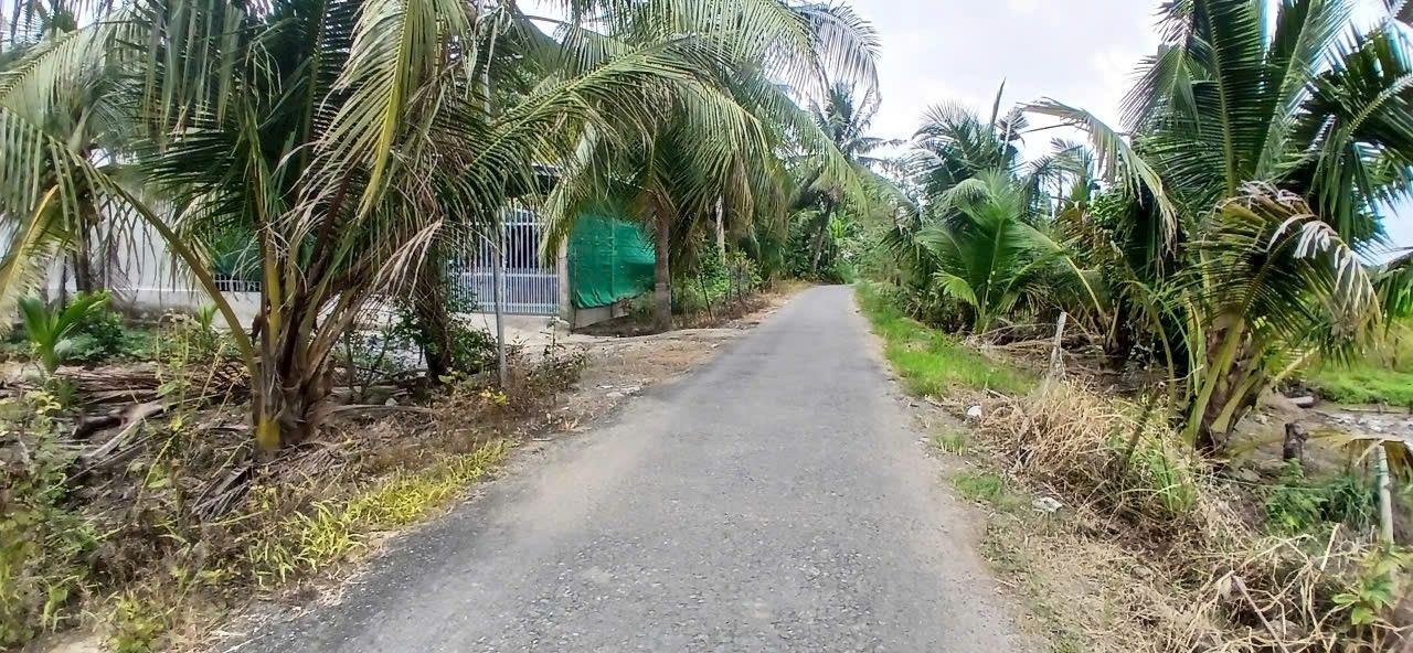 Đất nền Cái Ngang, Tam Bình, Vĩnh Long 7.000m² giá 2 tỷ - Đầu tư sinh lời ngay!