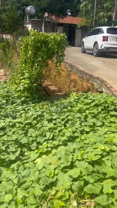 Đất nền 120m² xã Hà Lộc giá 600 triệu - Tiềm năng đầu tư hấp dẫn!