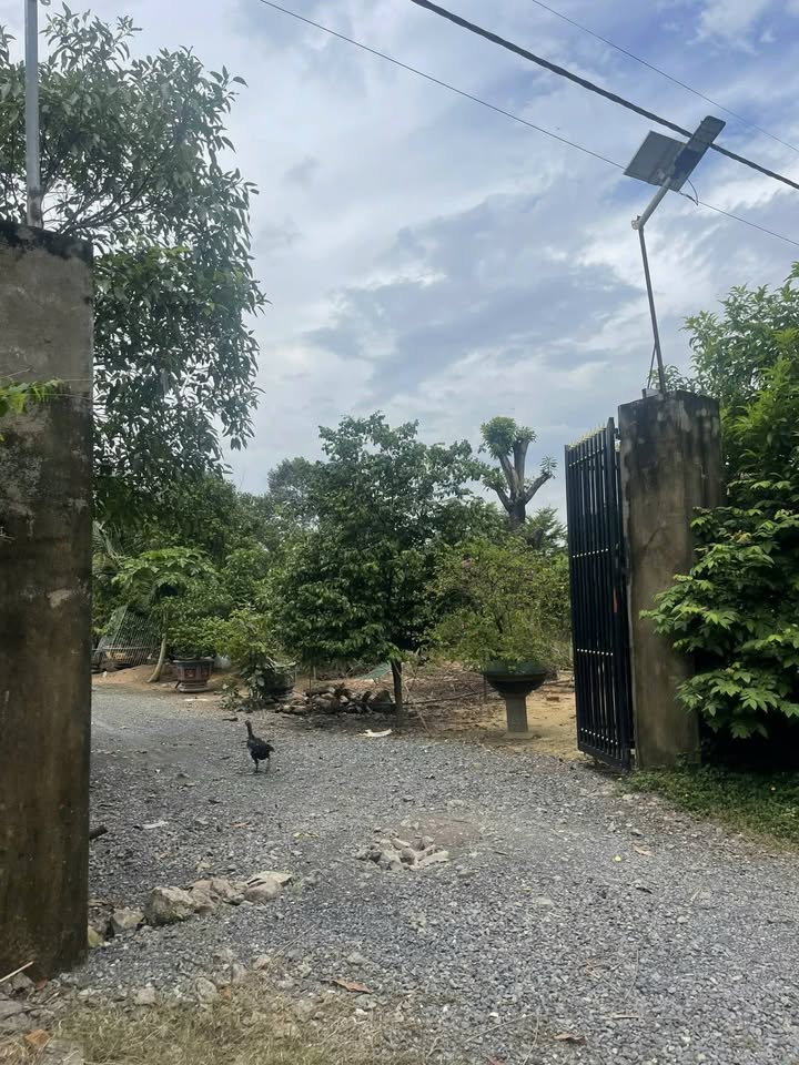 Đất nền An Viễn Trảng Bom 1342m² giá 3 tỷ - Cơ hội đầu tư tuyệt vời!