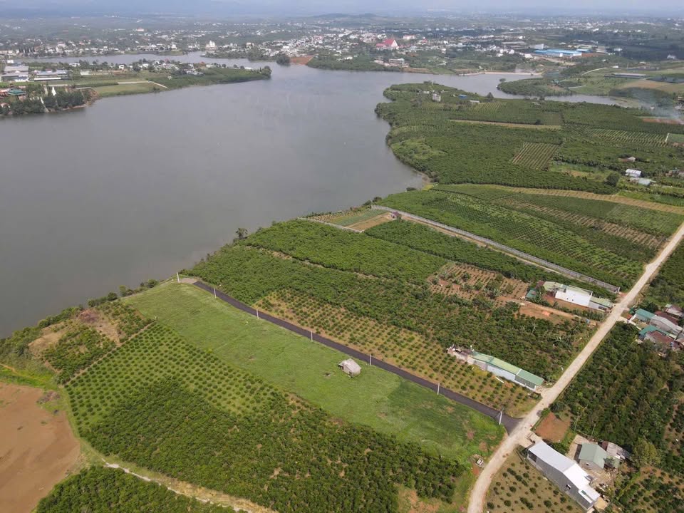 Đất giá tốt 7148m² mặt tiền đường Lạc Long Quân - Gần hồ Bảo Lâm chỉ 6.48 tỷ!