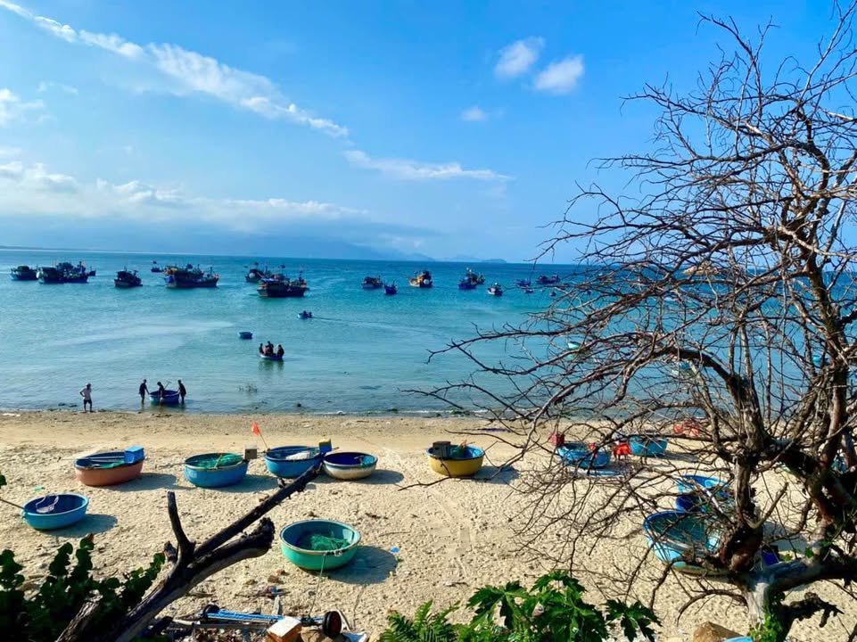 Đất nền mặt biển Hòa An, Sông Cầu, Phú Yên 187m² giá chỉ 2 tỷ - Cơ hội đầu tư tuyệt vời!