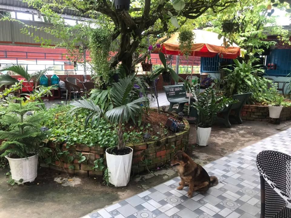 Mặt tiền kinh doanh Nhơn Phú 269m² giá 1.9 tỷ - Cơ hội đầu tư tuyệt vời!