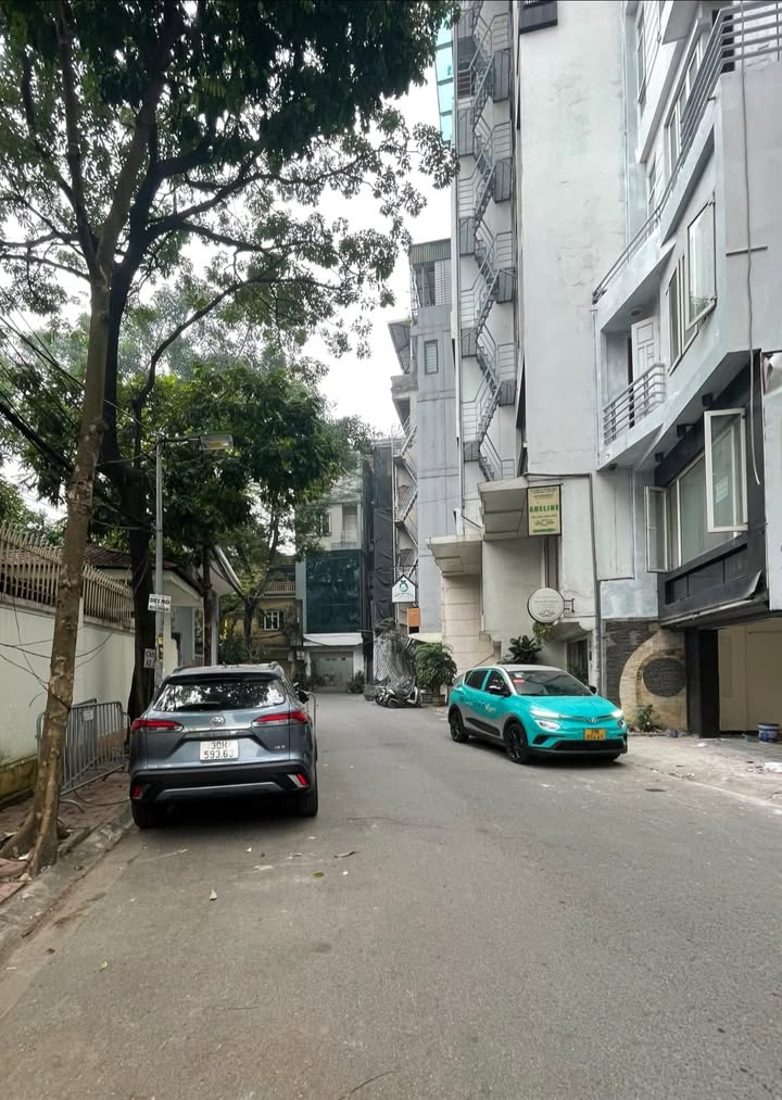 Nhà phố Nguyễn Chánh Cầu Giấy 60m² giá 33 triệu - Kinh doanh sầm uất!