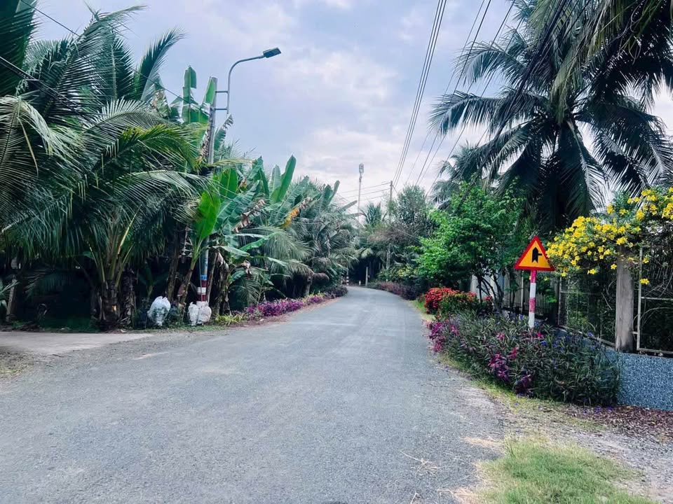 Đất vườn Phước Thạnh, Bến Tre 1500m² giá 1.4 tỷ - Tiềm năng phát triển lớn!