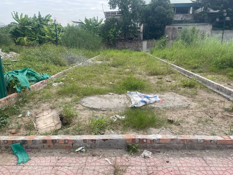 Đất nền Quang Minh, Mê Linh 56.8m² giá thỏa thuận - Tiềm năng tăng giá mạnh!